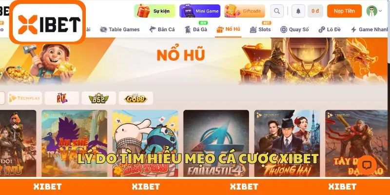 Lý do tìm hiểu mẹo cá cược XIBET