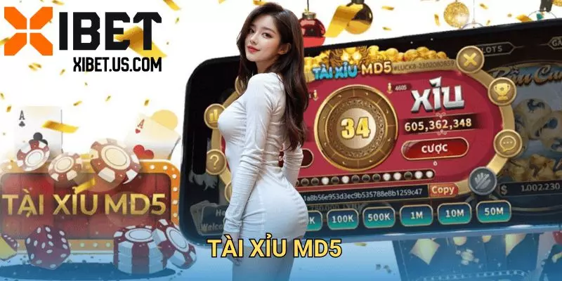 Mẹo chơi tài xỉu MD5 không phải bet thủ nào cũng biết